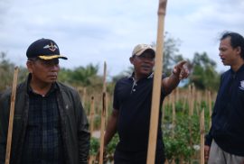 Sinergi Tim Patriot UGM dengan Dinas Pertanian, Pangan, Kelautan & Perikanan Provinsi Papua Selatan untuk Tingkatkan Produktivitas Pertanian